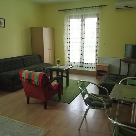 Apartments Hadzi Sokobanja Buitenkant foto