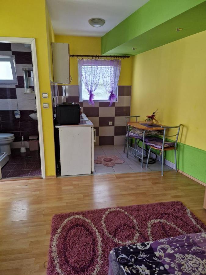 Apartments Hadzi Sokobanja Buitenkant foto
